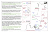 coo1d31 west coast ika maui_thumb.gif